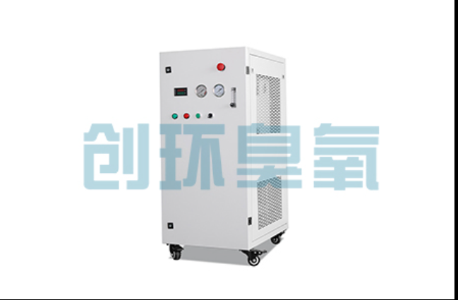 宁波工厂化养鲈必看:2026年臭氧发生器替代传统消毒的最新方案