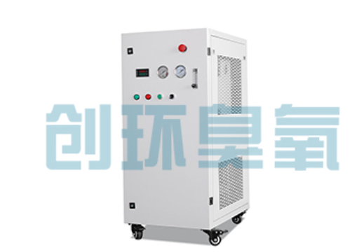 宁波石斑鱼养殖水质调控完整指南:臭氧发生器配置与操作步骤