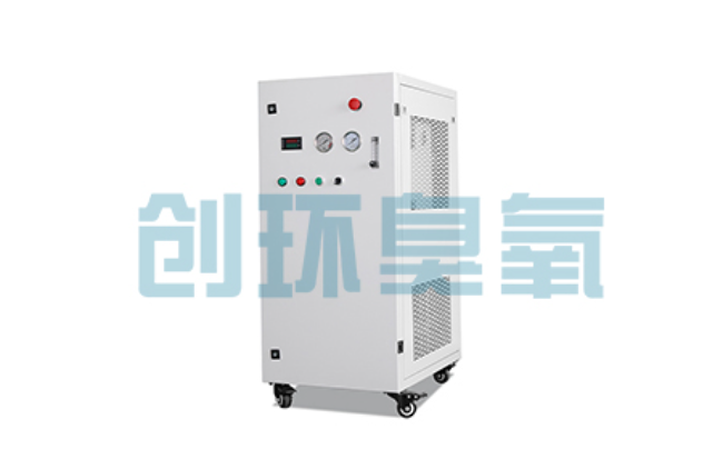宁波比传统换水更高效?臭氧发生器在石斑鱼养殖中的水质净化原理解析
